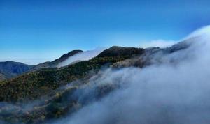 雲霧山