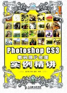 PhotoshopCS3數碼照片處理實例精講