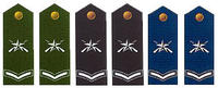 陸海空軍二級士官肩章(1999—2009)