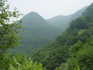 安泰山景區