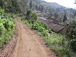 進村道路