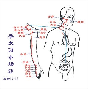 小腸細菌過度生長