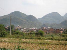 莫村村[廣東省湛江市坡頭區龍頭鎮下轄村]