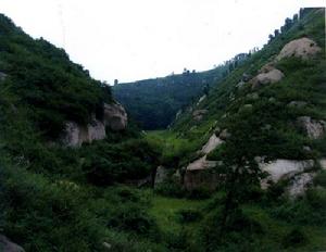 洪慶山國家森林公園