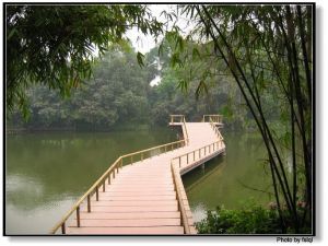 佛山市中山公園－－七洲網