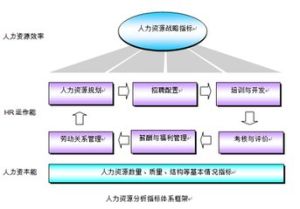 數據資源公司模型