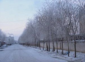 黑大門國家森林公園