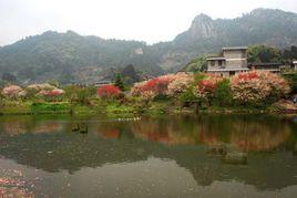 南井村[福建省閩侯縣南嶼鎮南井村]