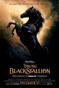 The Black Stallion