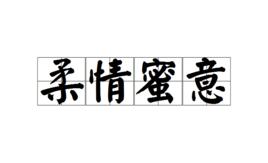 柔情蜜意[中文詞語]