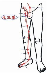 足五里穴