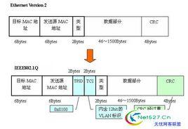 IEEE 802.1q