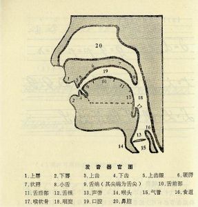 翹舌音