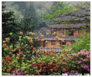 花岩溪風景區