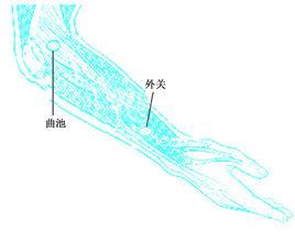 曲池[人體腧穴]