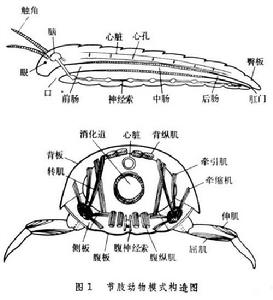 介質擊穿