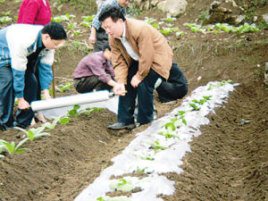 （圖）隆或鄉