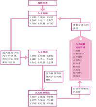 九型人格性格