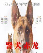 警犬赤龍