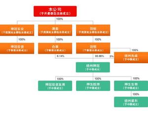 神冠控股企業架構