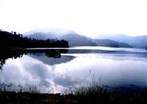 望龍湖森林公園