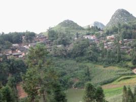 岩子頭村[雲南雲縣栗樹鄉下轄村]