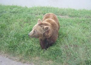 濟南跑馬嶺野生動物世界