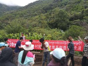 2017年8月1日德興村生態採摘園附近的生態環境