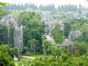 雲南石林地質公園