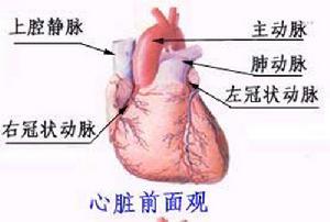 冠狀動脈搭橋手術