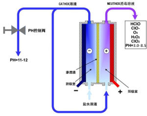 次氯酸發生器生產原理