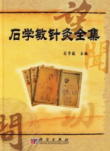 《石學敏針灸全集》