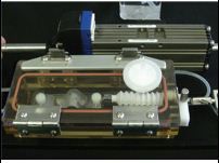 皮膚眼角膜牽張拉應力機械刺激生物反應器