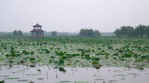 洪湖省級濕地自然保護區