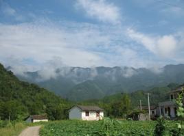 大山村[雲南省曲靖市馬龍縣舊縣鎮大山村]