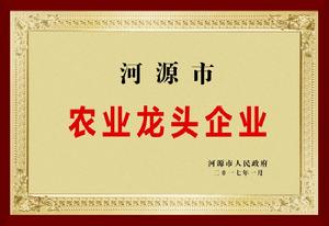 河源市農業龍頭企業