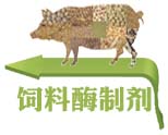 濰坊宇瑞貿易有限公司-飼料酶製劑