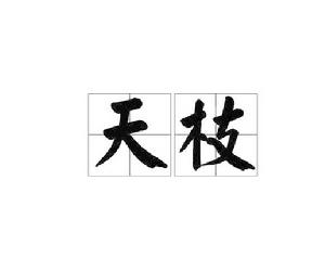 天枝[詞語]