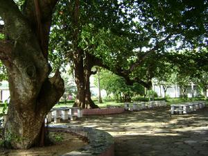 大聖露西亞沼澤公園