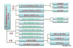 山東辰龍能源集團有限公司