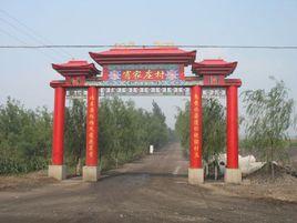 肖家莊村[雲南省雲龍縣諾鄧鎮肖家莊村]