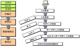 LLC[邏輯鏈路控制]