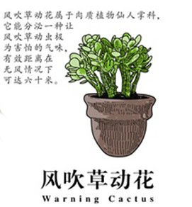 風吹草動花