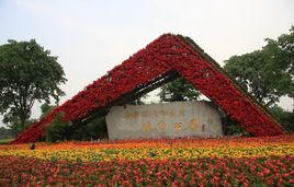 成都非物質文化遺產公園