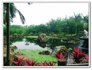 海口石山火山群地質公園