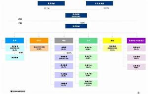 上海復星高科技公司