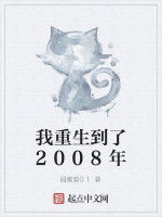 我重生到了2008年