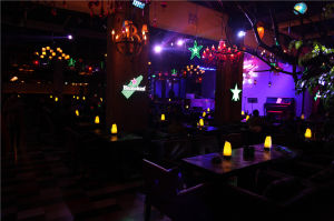 烏鎮老樹林酒吧 烏鎮老樹林酒吧