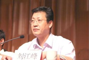 劉江峰[寶豐縣委常委、政法委書記]