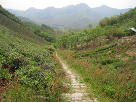 通天嶺古道